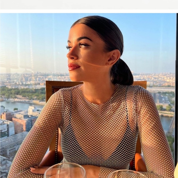 🍹NWT ZARA BLOGGERS FAVORITE favorite Shimmer Mesh Crop Top size small - Picture 5 of 11